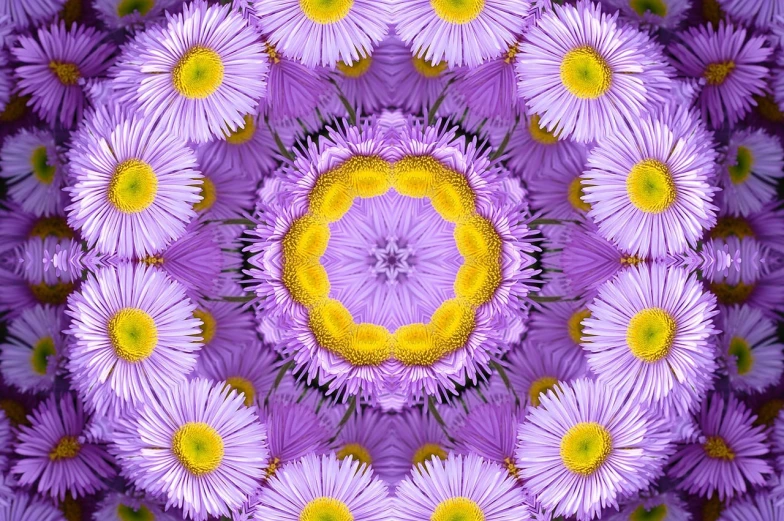 a close up of a bunch of purple flowers, digital art, by Jan Rustem, psychedelic art, radial symmetry, daysies, yellow purple, digital art - w 640