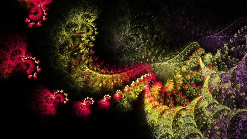 a digital painting of flowers on a black background, digital art, inspired by Benoit B. Mandelbrot, vegetation tentacles, scarlet and yellow scheme, fractal lace, digital painting of quetzalcoatl