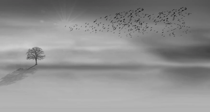 a flock of birds flying over a tree, a black and white photo, inspired by Chris Friel, trending on pixabay, minimalism, phone wallpaper hd, some sun light ray, 1128x191 resolution, gooses