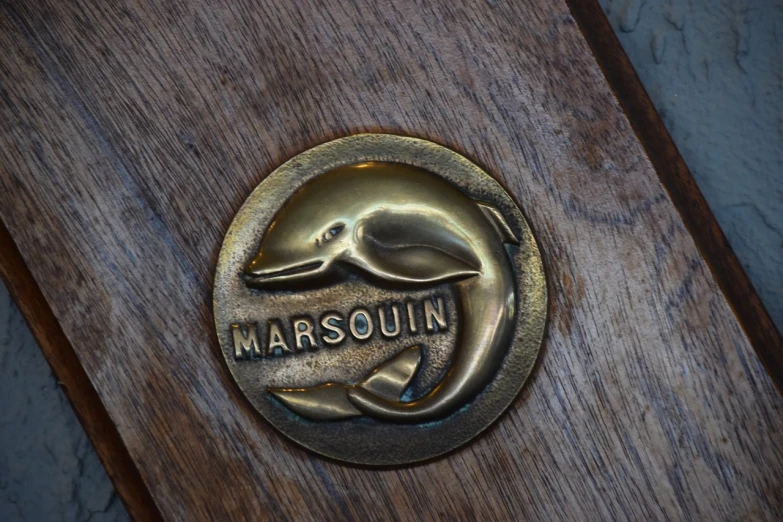 a close up of a plaque on a wooden door, a bronze sculpture, inspired by Jacques Maroger, trending on polycount, massurrealism, dolphin, round logo, museum photo, moomin