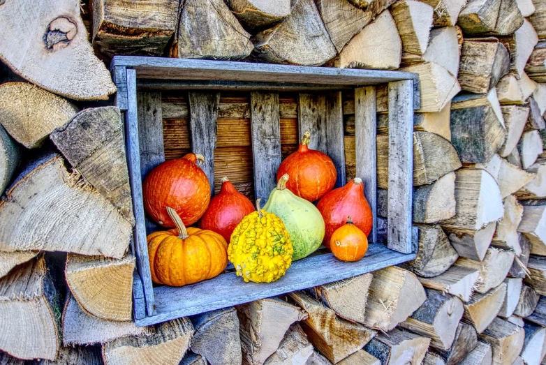 a wooden crate filled with pumpkins and gourds, a photo, by Franz Hegi, pexels, on a wall, 😃😀😄☺🙃😉😗, tonemapped, hut