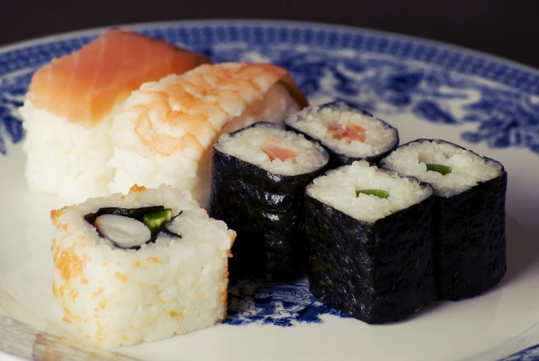 a blue and white plate topped with sushi, flickr, mingei, close-up photo, square, reportage photo, russian and japanese mix