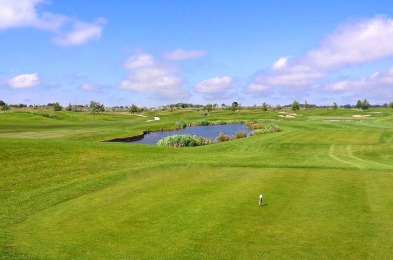 a man walking across a lush green golf course, by Karl Völker, shutterstock, baroque, realistic wide angle photo, softair arena landscape, photo of a beautiful, oklahoma