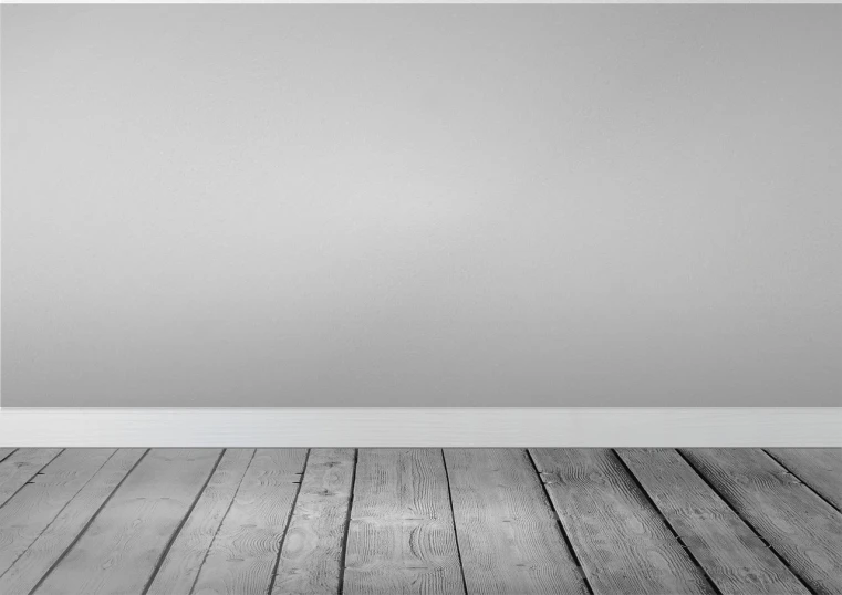 a black and white photo of an empty room, a minimalist painting, by Yang Borun, unsplash, wooden floor boards, commercial banner, solid light grey background, photo - realistic wallpaper