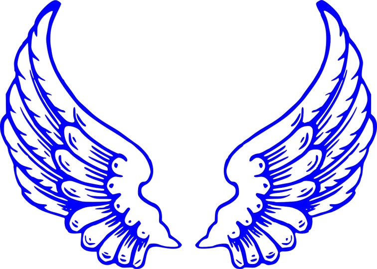 a pair of blue wings on a black background, a digital rendering, by Andrei Kolkoutine, digital art, vector art for cnc plasma, neck zoomed in, outlined hand drawn, 1128x191 resolution