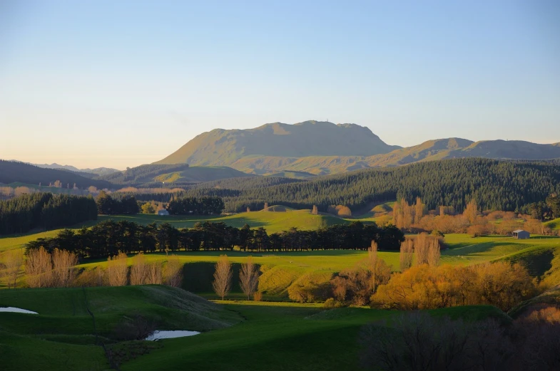 a view of a golf course with mountains in the background, by Gawen Hamilton, flickr, hurufiyya, rural splendor, late afternoon sun, flowing hills, buffalo