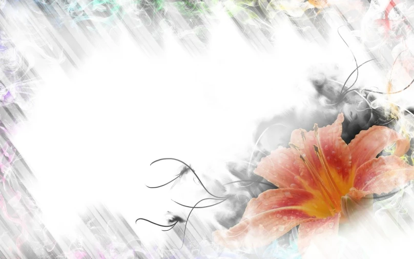 a close up of a flower on a white background, a digital painting, flickr, romanticism, miraculous cloudy backdrop, frame, lillies, graffiti _ background ( smoke )