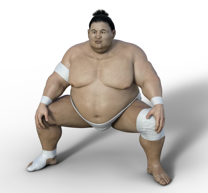 an image of a sumo wrestler posing for a picture, a 3D render, shin hanga, middle body shot, full body wide shot, fully body photo, kentaro miura style