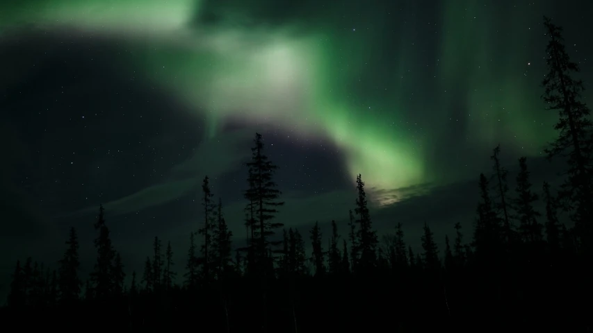 the aurora bore lights up the night sky, by Jacob Kainen, pexels, hurufiyya, forest green, yeg, nova, 420