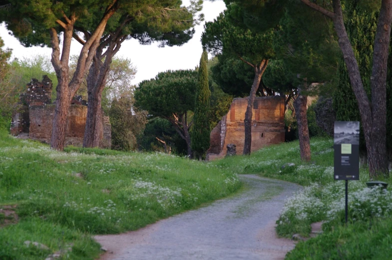 a path in the middle of a lush green park, by Alexis Grimou, flickr, renaissance, ( ( ruins of ancient rome ) ), spring evening, near the beach, sparse detail