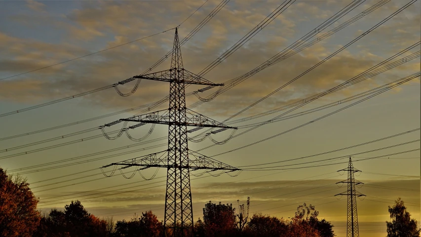 a group of power lines with trees in the background, a portrait, by Thomas Häfner, pexels, realism, late summer evening, stacked, ornately detailed, img _ 9 7 5. raw