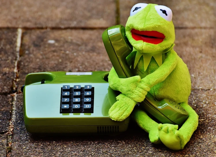 a close up of a stuffed animal on a phone, by Andrei Kolkoutine, kermit the frog, ready for a meeting, mathematical, telephone