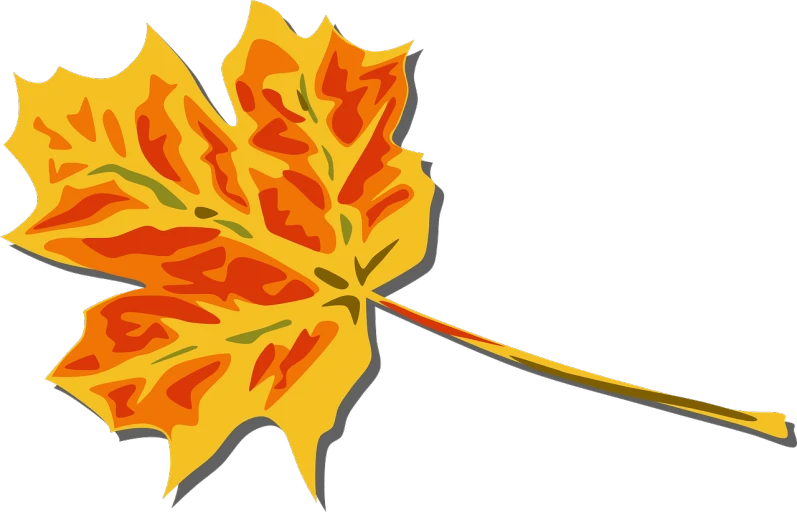 a close up of a leaf on a black background, a screenshot, inspired by Masamitsu Ōta, pixabay, sōsaku hanga, yellow and orange color scheme, cartoon illustration, from side, full color illustration