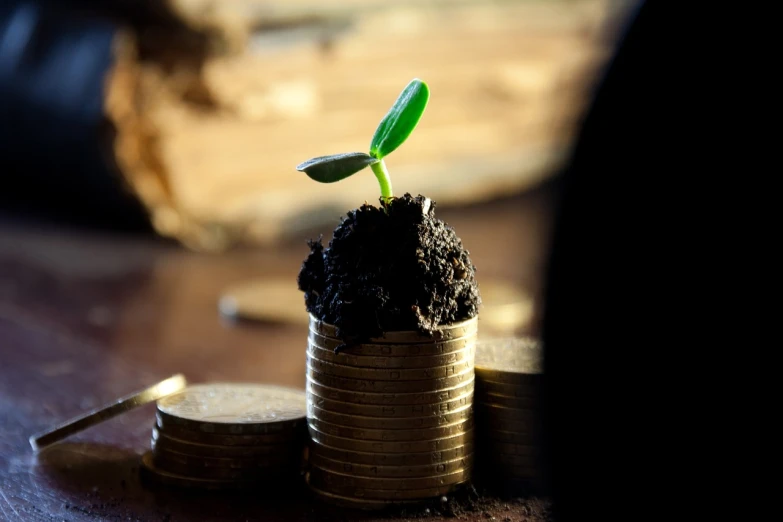 a plant sprouting out of a pile of coins, by Niko Henrichon, pixabay, indoor shot, soil, 1 9 7 0 s photo, close establishing shot