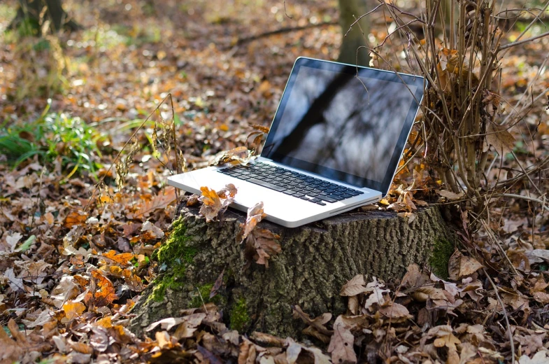 a laptop computer sitting on top of a tree stump, by Romain brook, naturalism, fall season, ergonomic, technical, warm