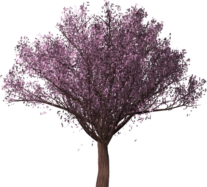 a purple tree on a black background, a raytraced image, polycount, falling cherry blossoms pedals, rendered in 4 k, hd —h 1024, rose pink lighting