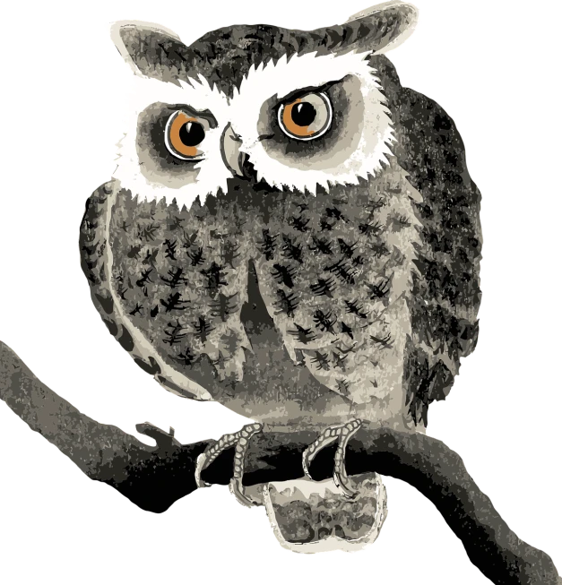 an owl sitting on top of a tree branch, vector art, process art, large dark eyes, high contrast illustration, birdseye view, high detail illustration