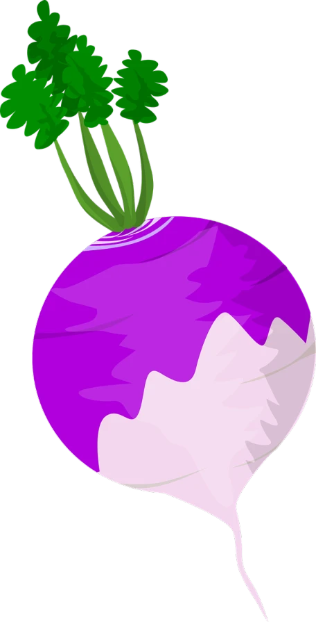 a purple turnip with green leaves on top, inspired by Kanbun Master, digital art, egg, inverted color scheme, random background scene, lineless