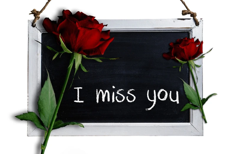 a chalkboard with the words i miss you written on it, a picture, romanticism, white and red roses, wallpaper 4 k, profile picture, lisa parker