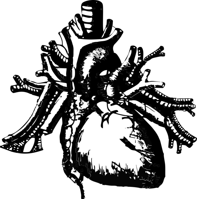 a black and white photo of a fire hydrant, a raytraced image, by Ryoji Ikeda, reddit, hurufiyya, ( ( ( in a dark, view from the space, palm tree, drawn in microsoft paint