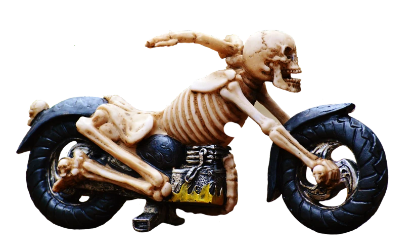 a skeleton riding on the back of a motorcycle, by Andrei Kolkoutine, flickr, macro detail, resin, widescreen, avatar image