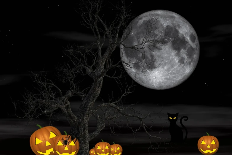 a group of jack o lantern pumpkins in front of a full moon, a digital rendering, digital art, black cat, with 3d render, glowing pumpkins under a tree, high res