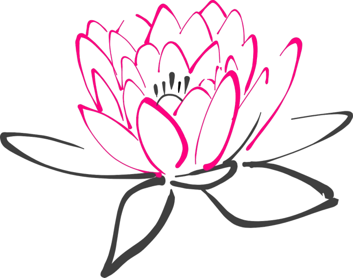 a pink lotus flower on a black background, inspired by Masamitsu Ōta, deviantart, sōsaku hanga, outlined!!!, screen cap, loosely cropped, cute looking