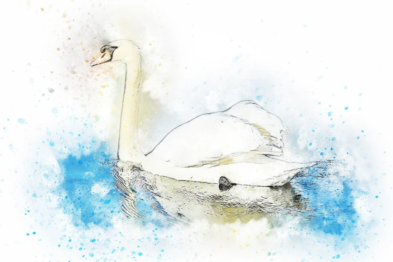 a white swan floating on top of a body of water, a watercolor painting, by Maksimilijan Vanka, shutterstock, rough color pencil illustration, mixed media style illustration, rounded beak, white and blue