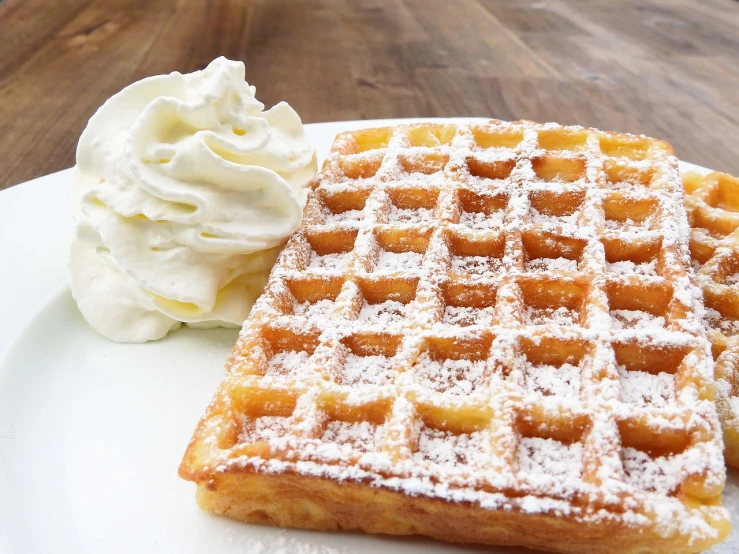 a white plate topped with waffles and whipped cream, a portrait, pexels, hurufiyya, detailed grid as background, けもの, beautiful high resolution, maze
