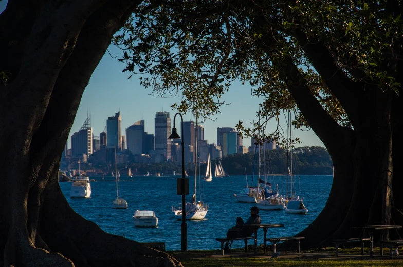 a couple of people that are sitting on a bench, a picture, inspired by Sydney Carline, shutterstock, sailboats in the water, 2 4 mm iso 8 0 0, trees in foreground, tony roberts