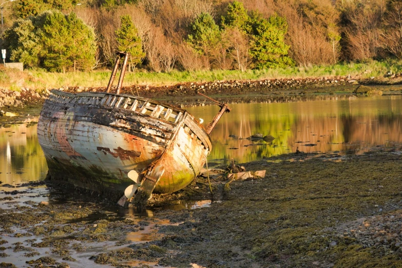 a boat sitting on top of a beach next to a body of water, a photo, by Richard Carline, shutterstock, decaying rich colors!, in scotland, golden glow, densley overgrown with moss