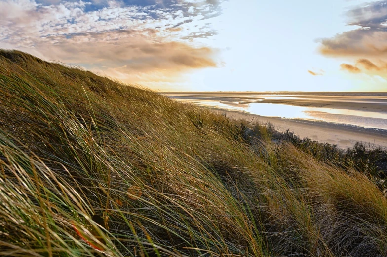 a man riding a surfboard on top of a sandy beach, a photo, by Niels Lergaard, fine art, long grass in the foreground, northern france, autumn, panorama