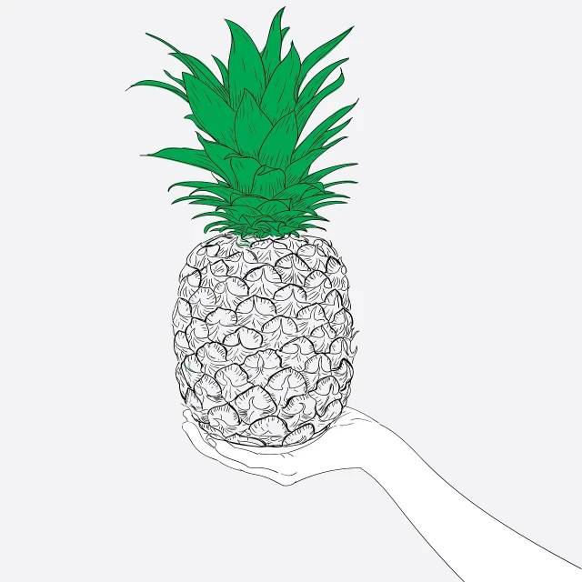 a drawing of a hand holding a pineapple, a detailed drawing, pop art, minimalistic illustration, high detail illustration, on a gray background, penned with thin colors on white