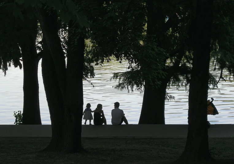 a group of people sitting next to a body of water, by János Tornyai, flickr, under the soft shadow of a tree, detailed silhouette, dad, threes