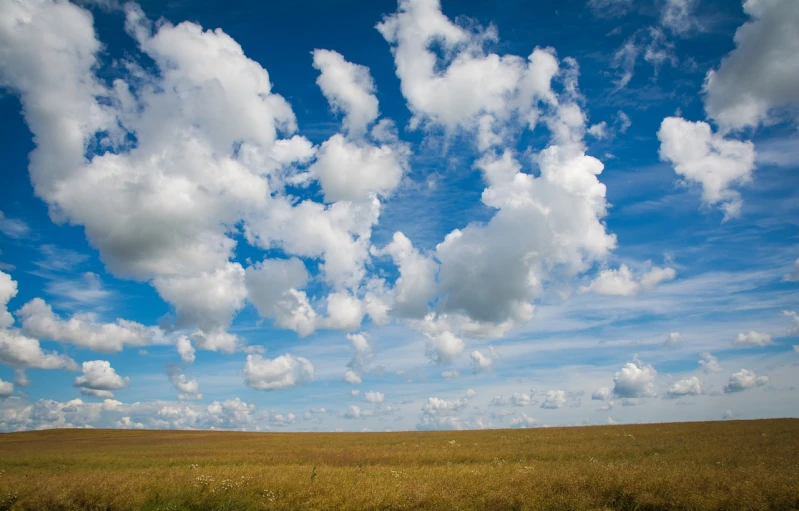a herd of cattle standing on top of a lush green field, a stock photo, shutterstock, minimalism, beautiful sky with cumulus couds, empty wheat field, whorl. clouds, “puffy cloudscape