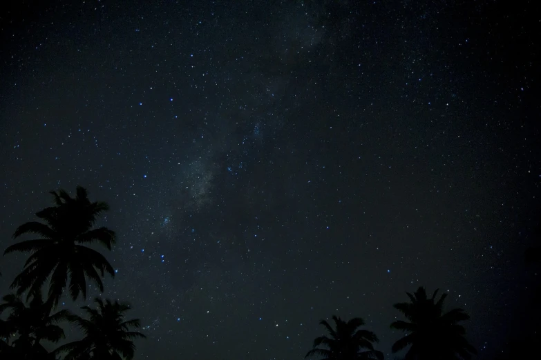 the night sky is filled with stars and palm trees, minimalism, shot from professional camera, milky way nebula, the milk way, visible sky and humid atmosphere