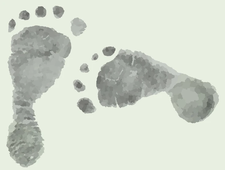 a close up of a foot print on a white background, a cave painting, inspired by Victorine Foot, pixabay, conceptual art, on grey paper sketch ink style, based on geographical map, wikihow illustration, pregnancy