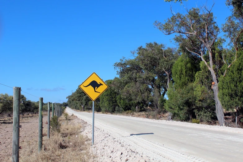 a yellow kangaroo crossing sign sitting on the side of a road, a photo, museum quality photo, tourist photo, stingray, foto