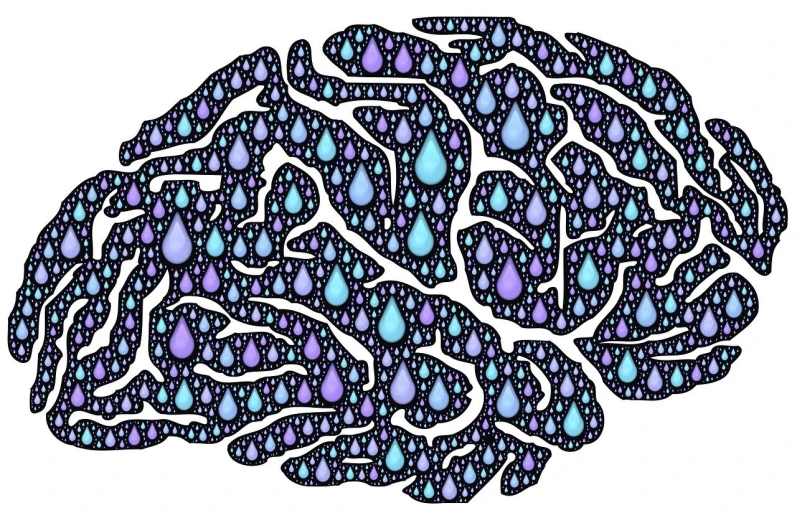 a drawing of a brain with drops of water on it, by Tom La Padula, pixabay, tesselation, wet amphibious skin, colored, paisley