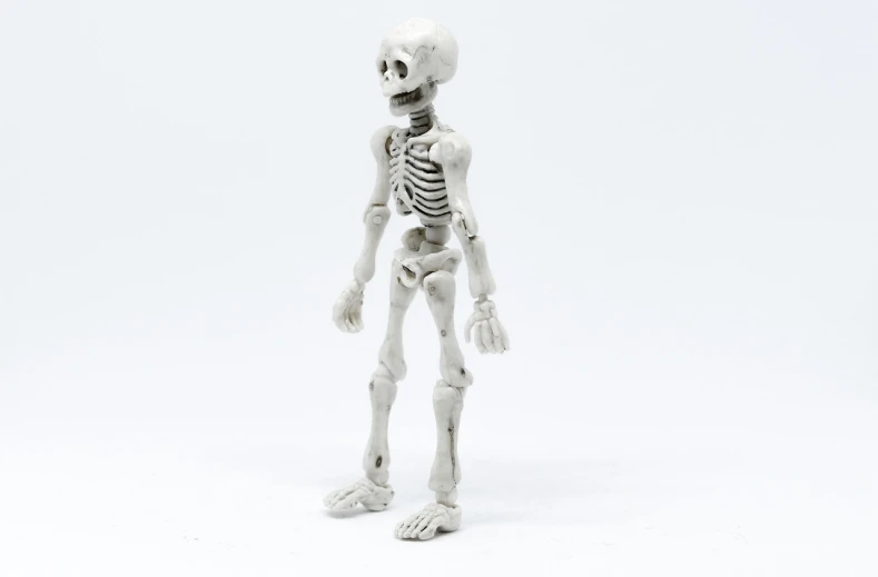 a close up of a toy skeleton on a white background, by Muirhead Bone, unsplash, miniature action figure, 1:87, high quality detailed, ca. 2001