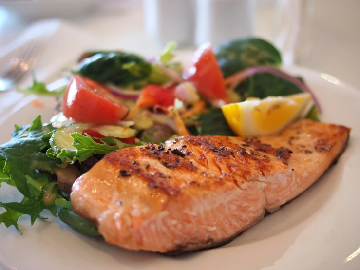 a close up of a plate of food on a table, by Paul Emmert, pexels, salmon, wikimedia commons, salad, swollen muscles