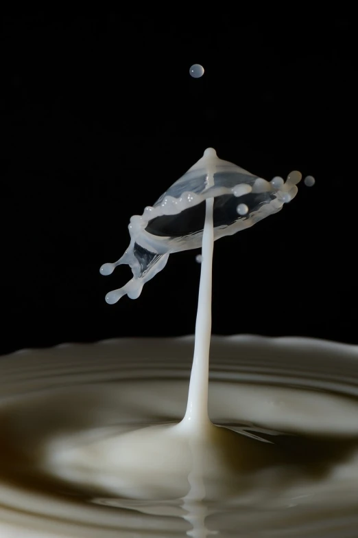 a black and white photo of a splash of milk, by Doug Ohlson, flickr, precisionism, diorama macro photography, resin, mayonnaise, floating in mid - air