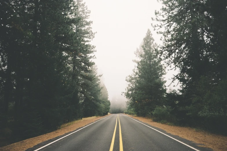 a road surrounded by trees on a foggy day, a picture, shutterstock, postminimalism, yosemite, 90s photo, stock photo