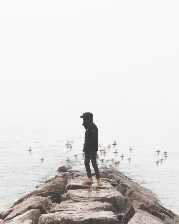 a person standing on rocks near a body of water, postminimalism, birds in the distance, foggy day outside, looking confused, hooded