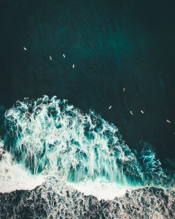 a group of people riding surfboards on top of a wave, pexels contest winner, minimalism, bird\'s eye view, deep azure tones, istock, lush nature