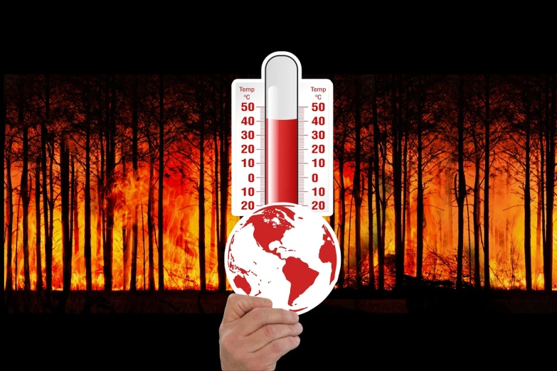 a person holding a thermometer in front of a fire, a photo, by Ramón Silva, shutterstock, art deco, dead tree forest, invasion time on planet earth, red forest, stock photo