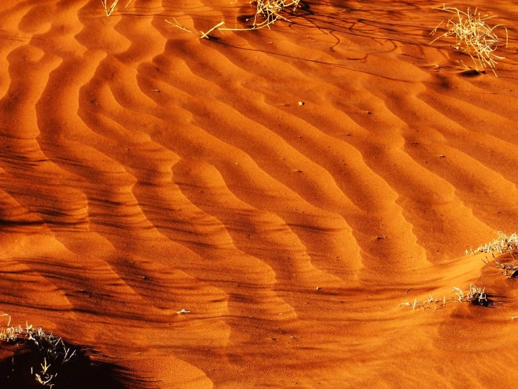 a close up of a sand dune in the desert, inspired by Edward Weston, flickr, uluru, epic red - orange sunlight, taken with a pentax k1000, honey ripples