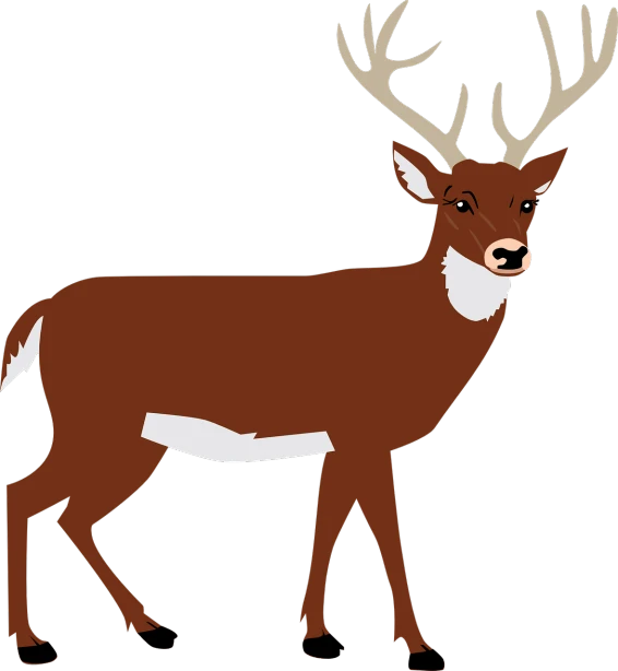 a deer standing in front of a black background, inspired by Rudolph F. Ingerle, mingei, harry volk clip art style, :6, guys, looking left