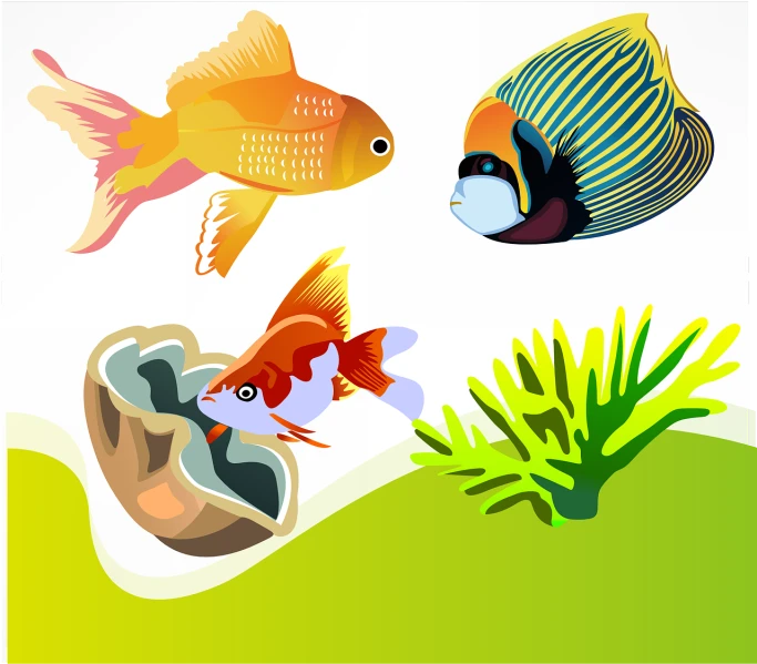 a couple of fish that are swimming in the water, an illustration of, shells, three animals, bio chemical illustration, ponds