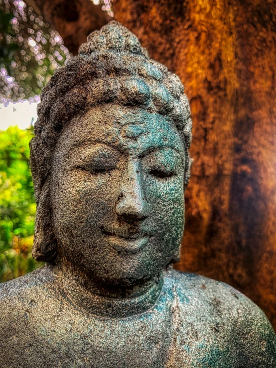 a close up of a statue with a tree in the background, by Jason Felix, pexels, sōsaku hanga, hindu stages of meditation, serene smile, maui, highly textured